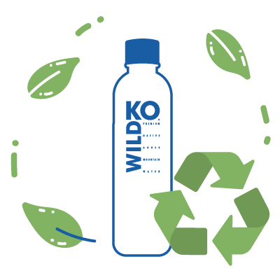 RECICLAJE DE BOTELLAS