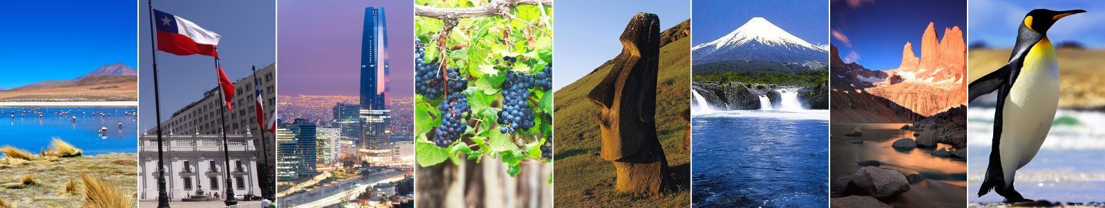 Chile Agua Pura