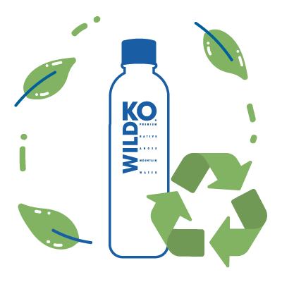 Reciclar botellas de plástico