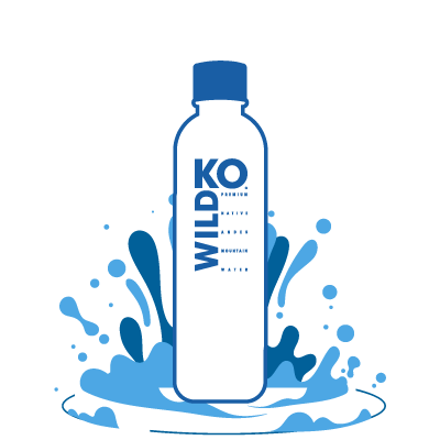 Reciclar botellas de plástico