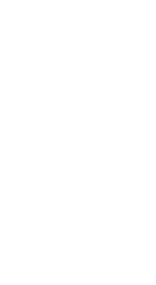 WildKo - Premium Native Andes Mountain Water